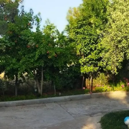 Koula 2-stamatis *